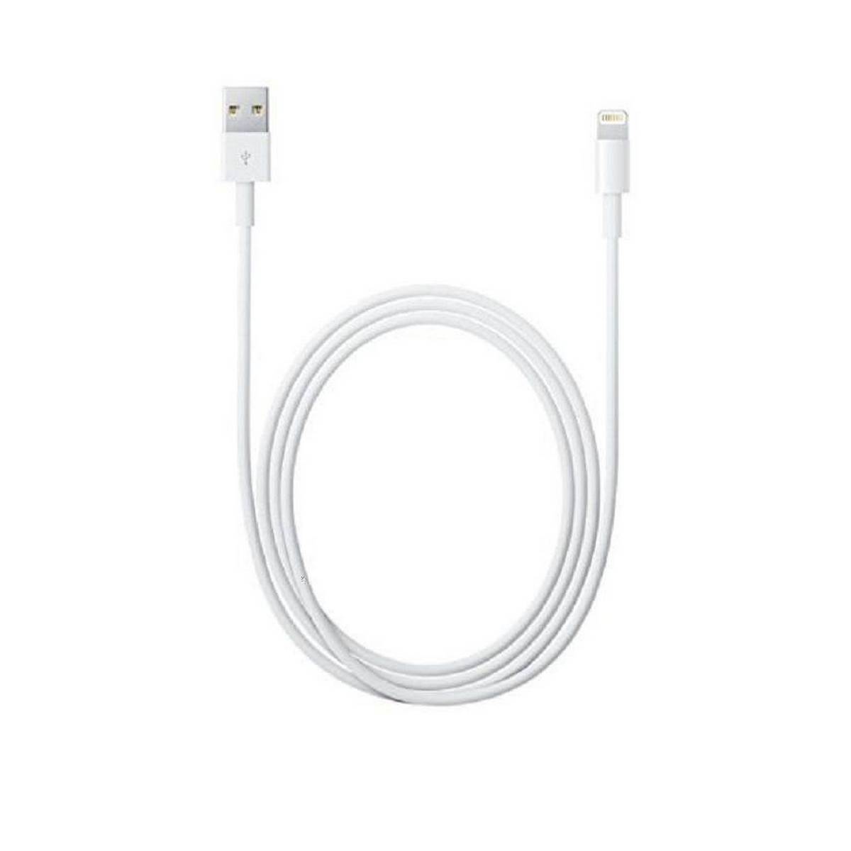 iPhone Apple Original USB Lightening Data Charging Cable for iPhones 1m